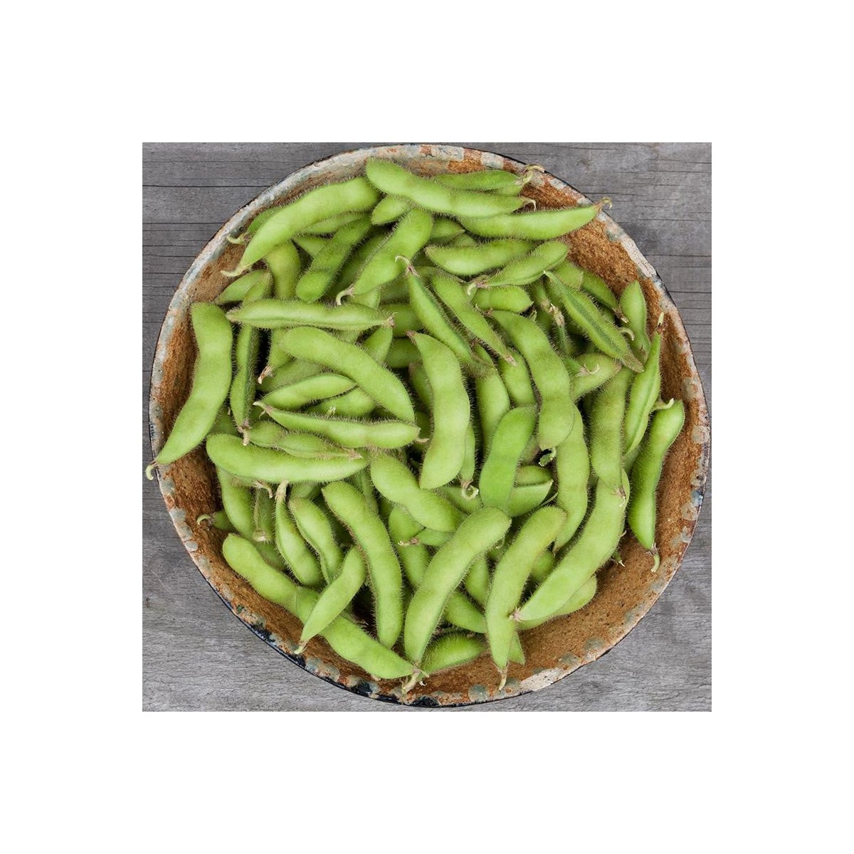 BIO Sója Edamame Chiba Green - Glycine max - bio semená sóje - 20 ks