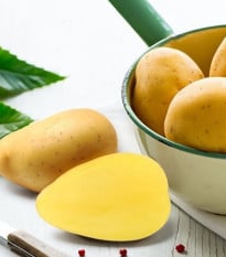 BIO sadbové zemiaky Bellinda - Solanum tuberosum - bio zemiaky - 10 ks ​