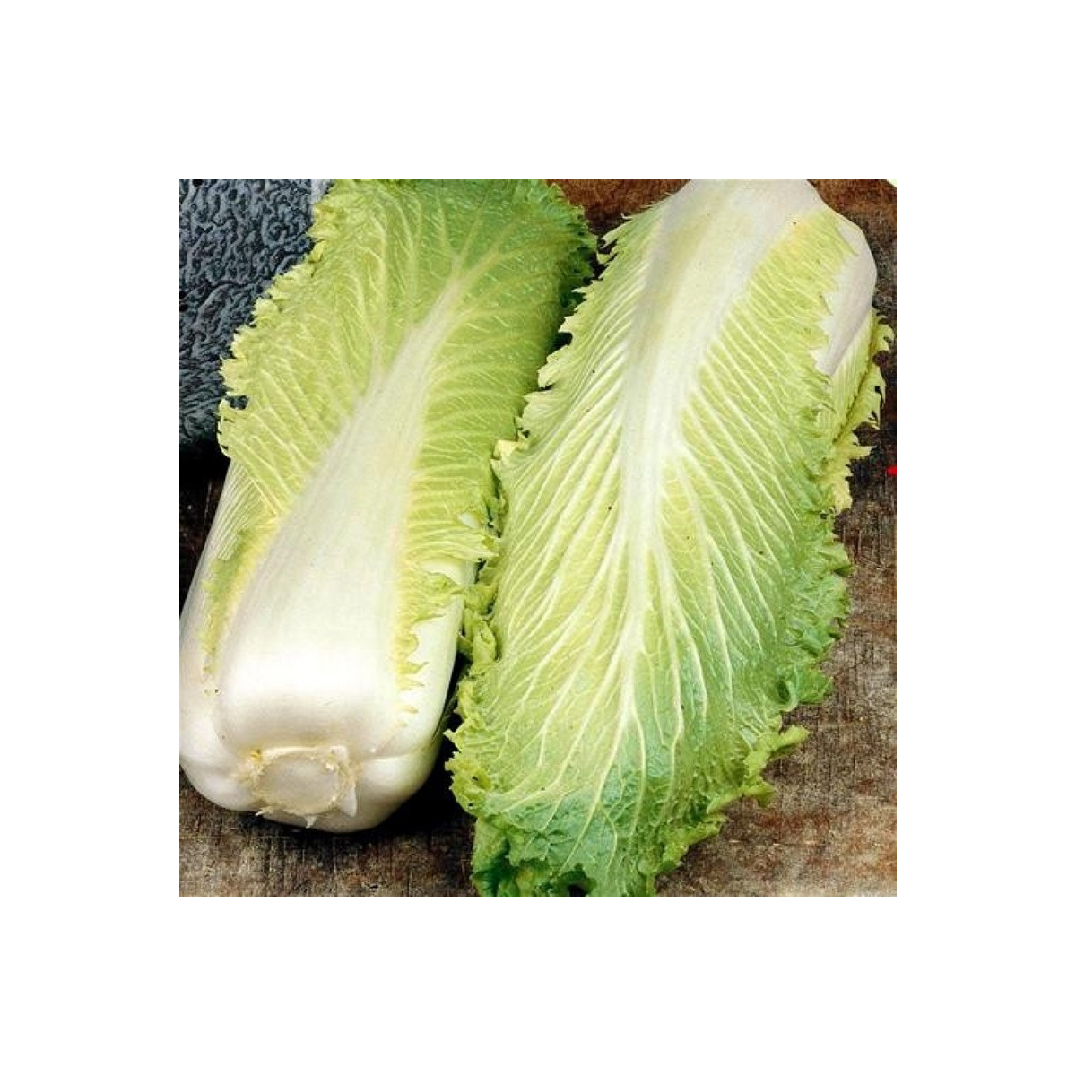BIO Kapusta pekingská Granat - Brassica oleracea - bio semená kapusty - 100 ks