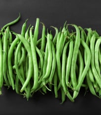 Fazuľa popínavá Primel - Phaseolus vulgaris - semená fazule - 20 ks