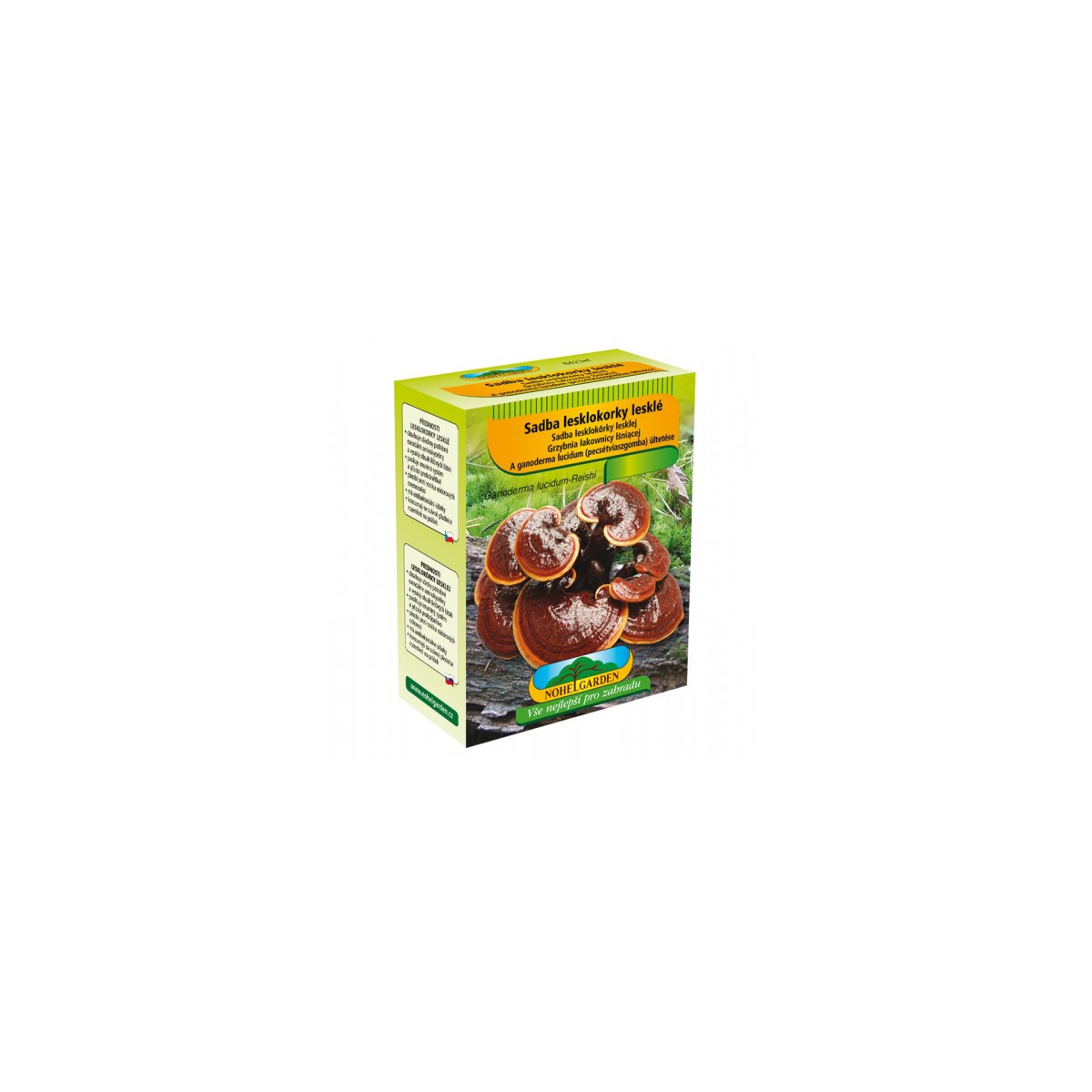 Sadba Lesklokôrovka lesklá - Ganoderma lucidum - sadba - 250 ml