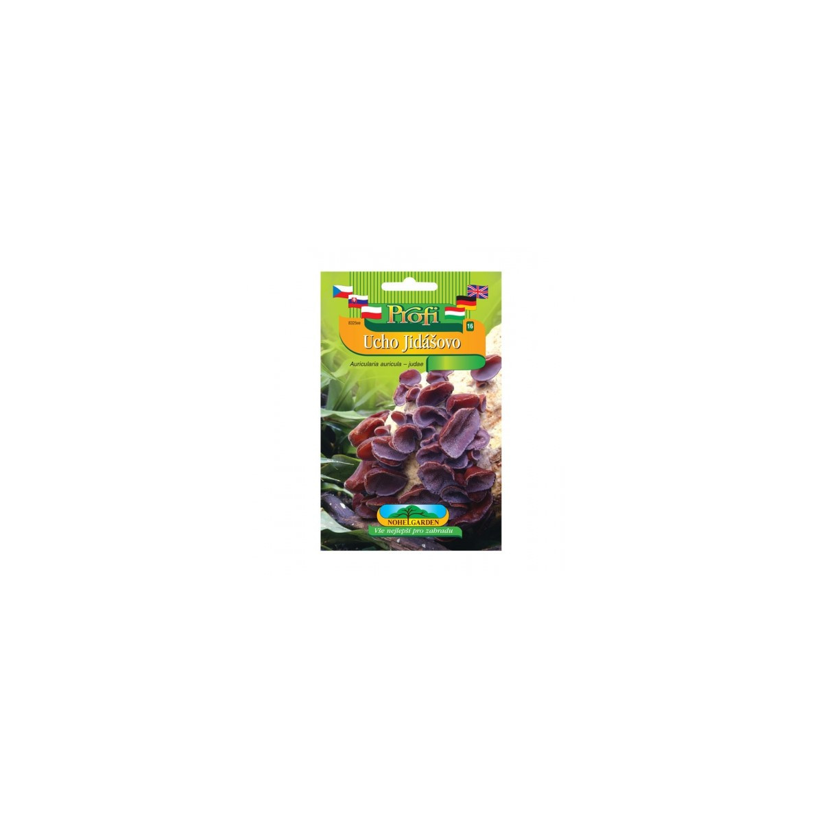 Sadba Ucho Judášovo - Auricularia auricula-judae - sadba- 1 ks