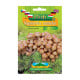 Sadba Šupinovka nameko - Pholiota nameko - sadba - 1 ks