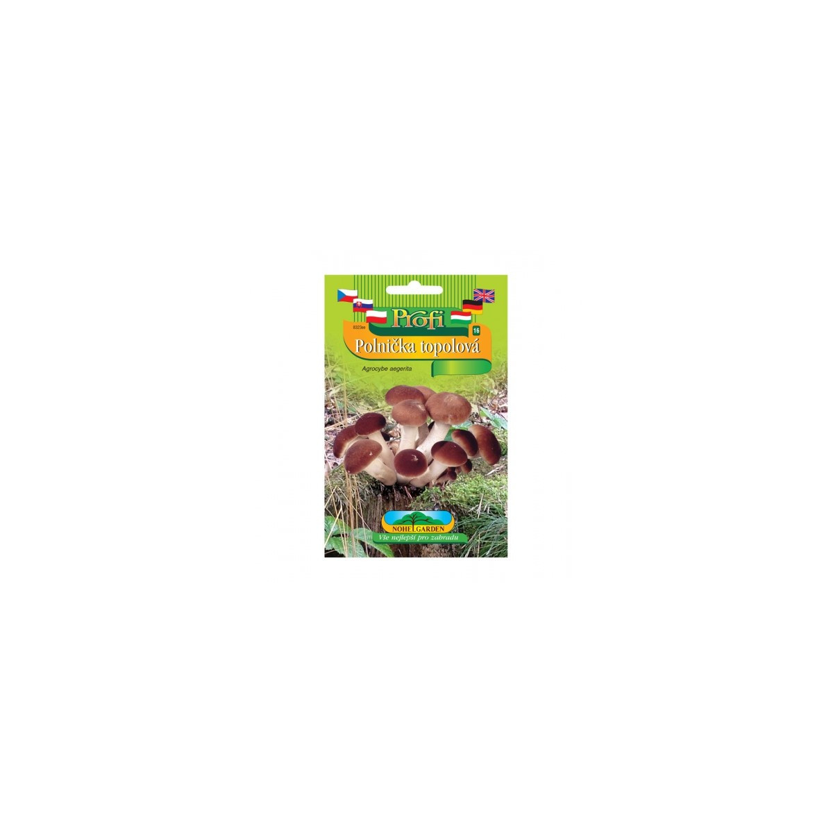 Sadba Polnička topoľová - Agrocybe aegerita - sadba - 1 ks