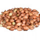 Cibuľa sadzačka žltá Hercules jarná - Allium cepa - cibuľky - 500 g