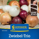 Cibuľa trio Hylander, Romy a Honeymoon - výsevný pásik - 1 ks