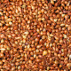 Cibuľa sadzačka Všetana - Allium cepa - cibuľky - 500 g