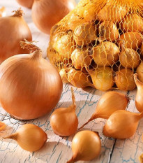 Cibuľa sadzačka Štutgart - Allium cepa - cibuľky - 500 g