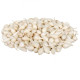 Cibuľa sadzačka Snowball - Allium cepa - cibuľky - 500 g