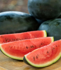 Melón vodný Little Darling F1 - Citrullus lanatus - semená melóna - 5 ks