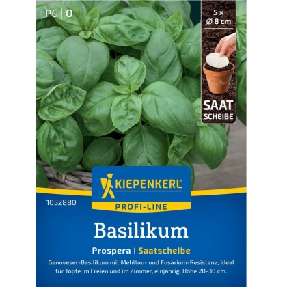 Semená bazalky Prospera - výsevný disk - 5 ks