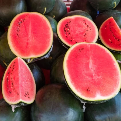 Melón vodný Sugar baby - Citrullus lanatus - semená melónu - 7 ks
