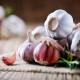 Sadbový cesnak Morado de Cuenca - Allium - nepaličák - cibuľa cesnaku - 1 balenie