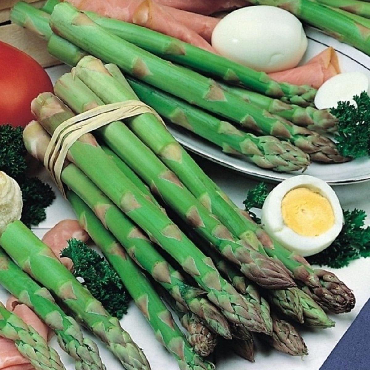 Špargľa Gijnlim - Asparagus officinalis - voľnokorenené sadenice špargle - 1 ks