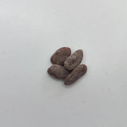Indiánsky banán Paw Paw - Asimina triloba - semená indiánskeho banánu - 4 ks