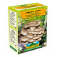 Hliva ustricová - Pleurotus ostreatus - sadivo - 250 ml