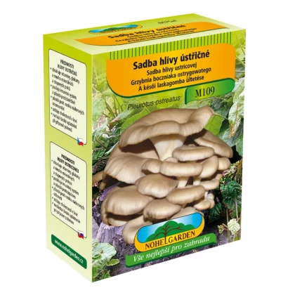 Hliva ustricová - Pleurotus ostreatus - sadivo - 250 ml