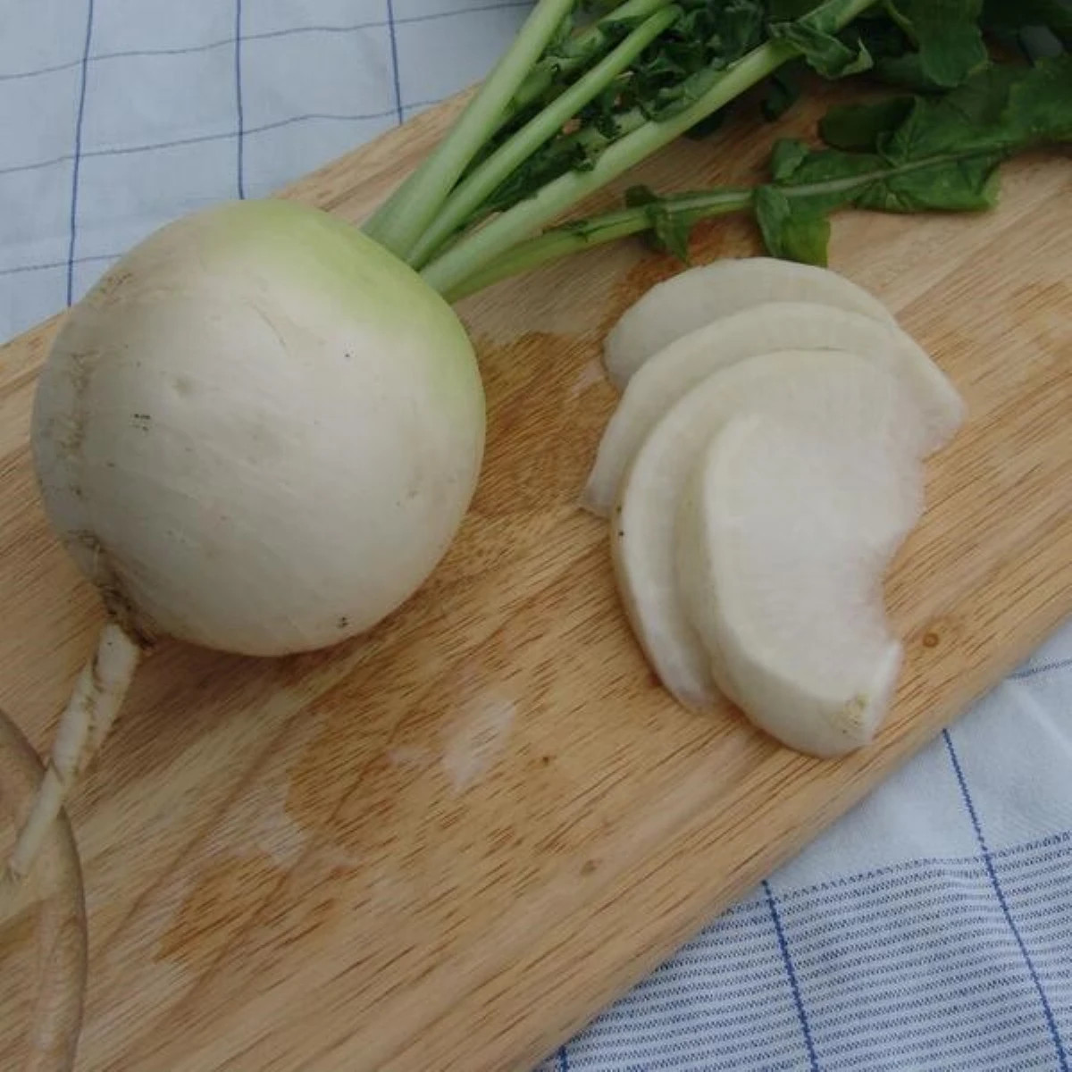 Reďkev Acord - Raphanus sativus - semená reďkve - 150 ks
