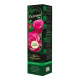 Ruža veľkokvetá kríková - Fragrant Criterion - Rosa - voľnokorenné sadenice ruže - 1 ks