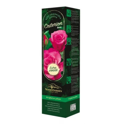 Ruža veľkokvetá kríková - Fragrant Criterion - Rosa - voľnokorenné sadenice ruže - 1 ks
