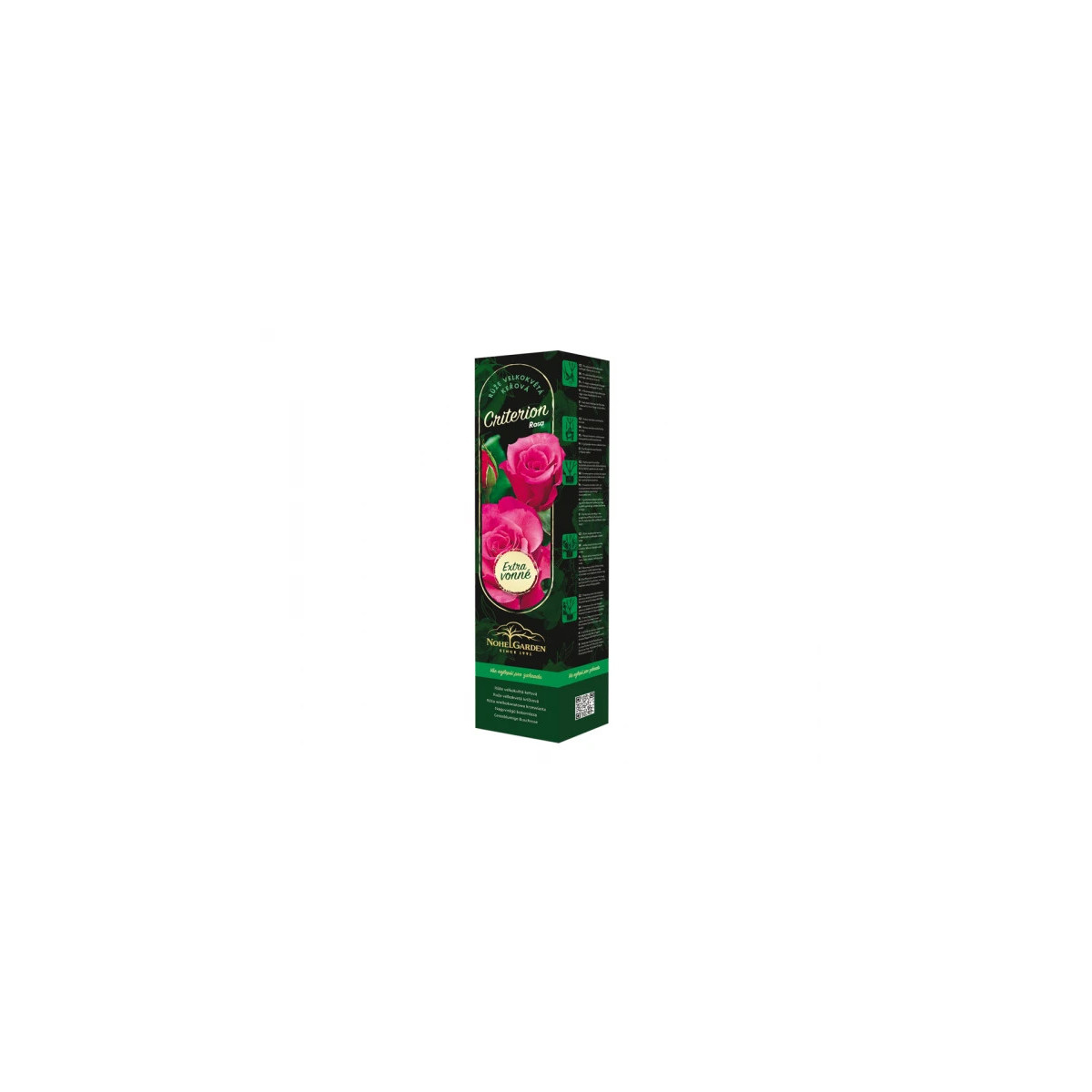Ruža veľkokvetá kríková - Fragrant Criterion - Rosa - voľnokorenné sadenice ruže - 1 ks