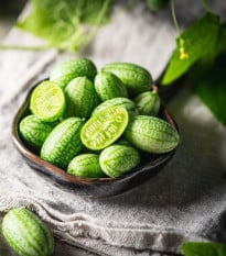 Mexická miniuhorka - Melothria scabra - semená uhorky cucamelon - 5 ks