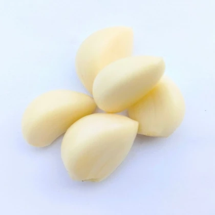 Sadbový cesnak Dukát - Allium sativum - paličiak - cibuľa cesnaku - 1 balenie