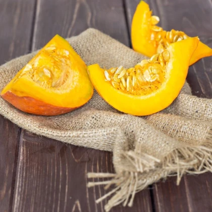 Tekvica Hokkaido Uchiki Kuri - Cucurbita maxima - semená tekvica - 5 ks