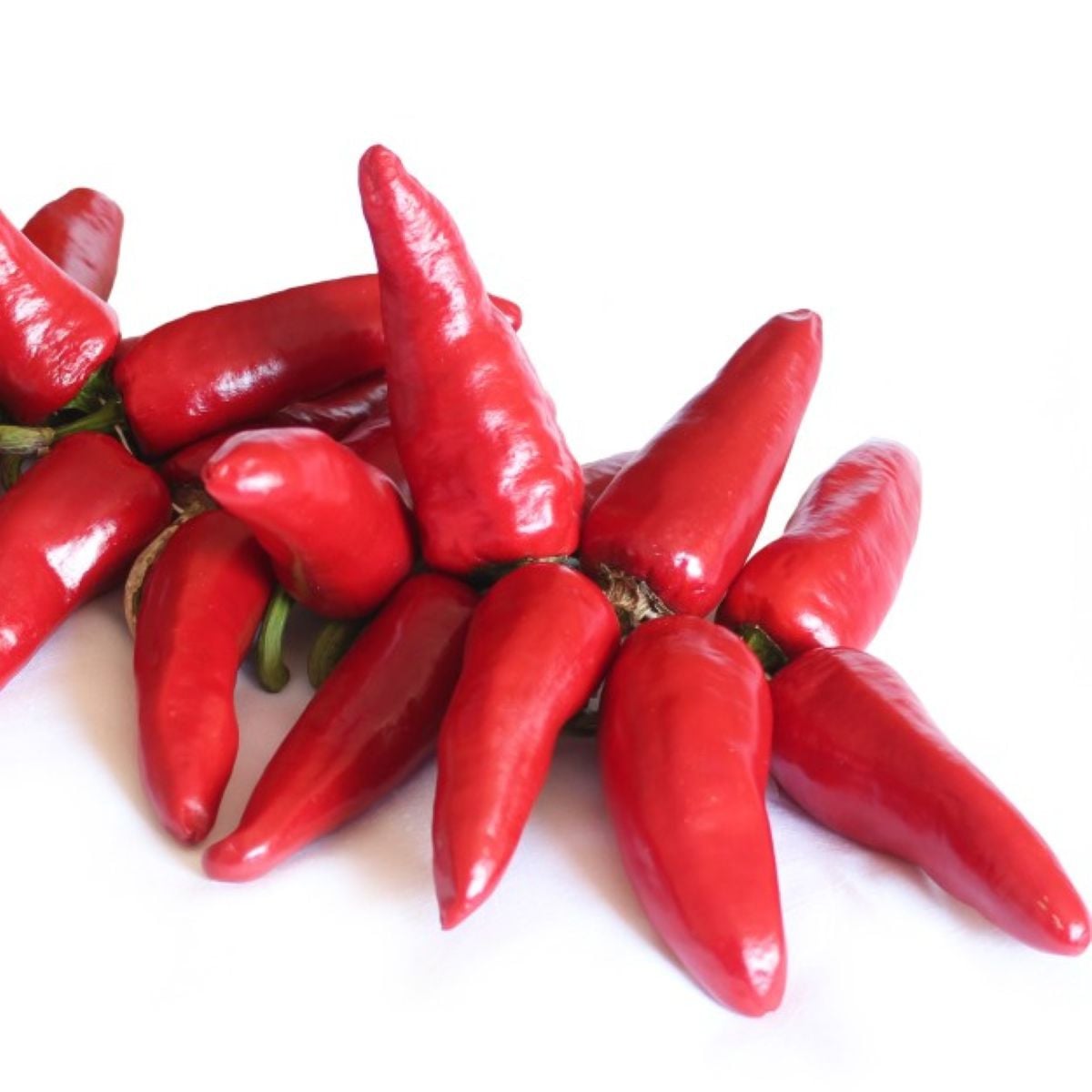 Chilli Jalapeno - Capsicum Annuum - semená chilli - 6 ks