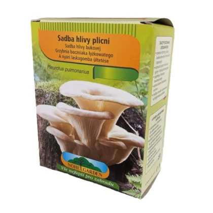 Hliva pľúcna - Pleurotus pulmonarius - sadivo - 250 ml