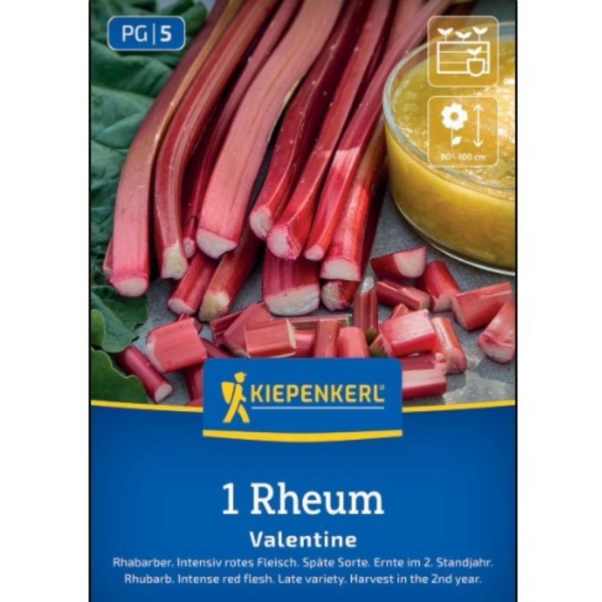 Rebarbora Valentine - Rheum rhabarbarum - voľnokorenné sadenice rebarbory ​​- 1 ks