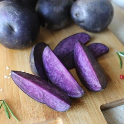Sadbové zemiaky Violet Star - Solanum tuberosum - zemiaky - 5 ks