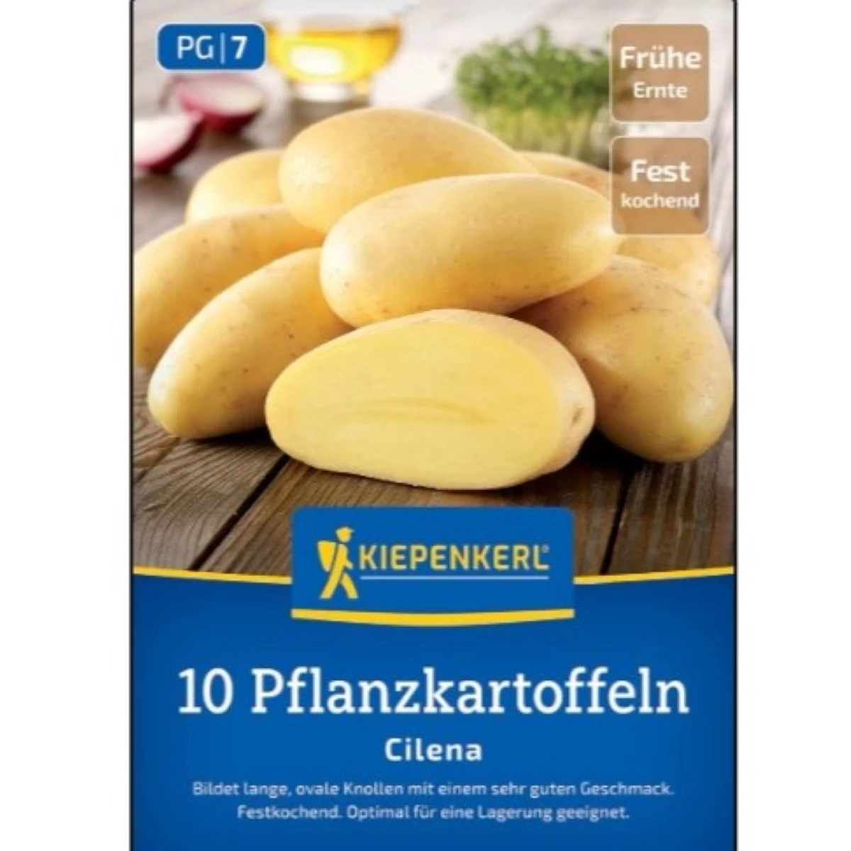 Sadbové zemiaky Cilena - Solanum tuberosum - zemiaky - 10 ks