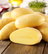 Sadbové zemiaky Cilena - Solanum tuberosum - zemiaky - 10 ks