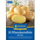 Sadbové zemiaky Bernina - Solanum tuberosum - zemiaky - 10 ks