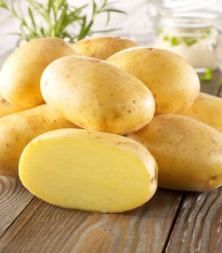 Sadbové zemiaky Bernina - Solanum tuberosum - zemiaky - 10 ks