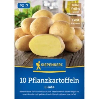 Sadbové zemiaky Linda - Solanum tuberosum - zemiaky - 10 ks