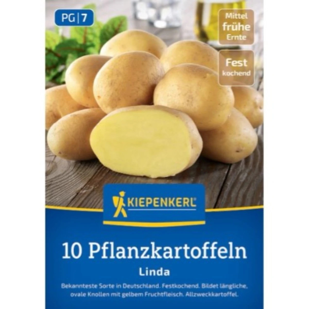Sadbové zemiaky Linda - Solanum tuberosum - zemiaky - 10 ks