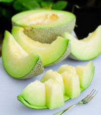 Melón Tenor F1 - Cucumis melo - semená melónu - 6 ks