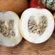 Tekvica White Pearl - Cucurbita pepo - semená tekvice - 6 ks