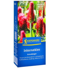 Zelené hnojenie - Ďatelina inkarnát - semená - 250 g