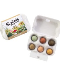 Semienkové bomby - darčekový box na vajíčka - Blossombs - 6 guličiek - 1 balenie