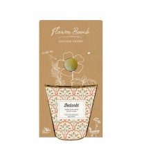 Darčeková súprava - Grow kit - zmes na pestovanie byliniek - Blossombs - 1 ks