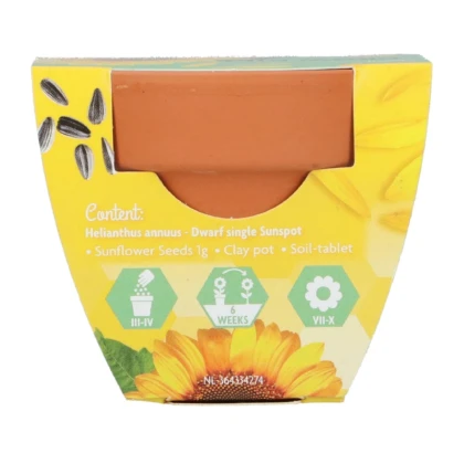 Buzzy Grow Gifts - Minisúprava na pestovanie slnečnice - Pieterpik - 1 ks