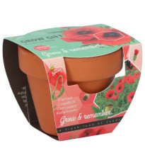 Buzzy Grow Gifts - Minisúprava na pestovanie maku - Pieterpik - 1 ks