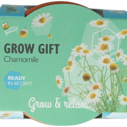 Buzzy Grow Gifts - minisúprava na pestovanie harmančeka - Pieterpik - 1 ks