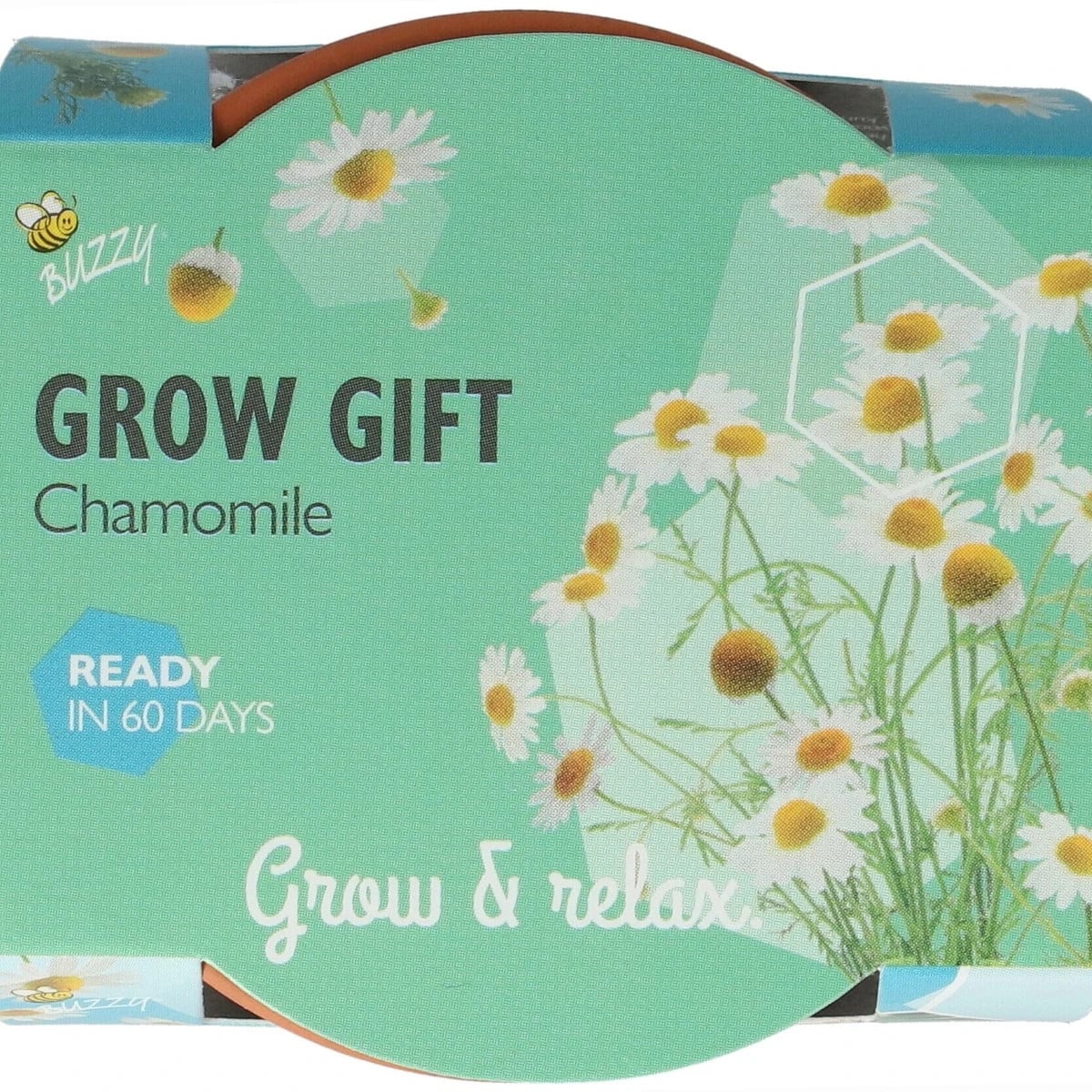 Buzzy Grow Gifts - minisúprava na pestovanie harmančeka - Pieterpik - 1 ks