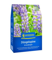 Zelené hnojenie - lupina úzkolistá - semená - 800 g