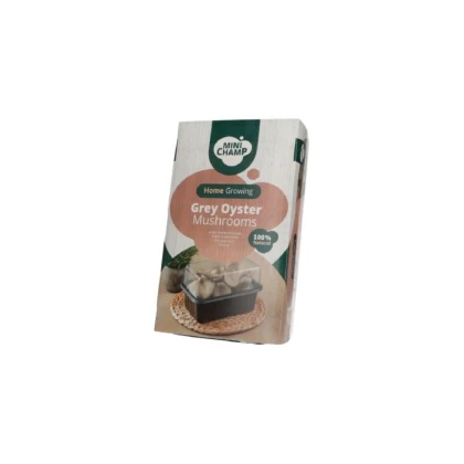 Mini Champ - súprava pre domáce pestovanie hlivy sivej - Pleurotus ostreatus - 1 ks