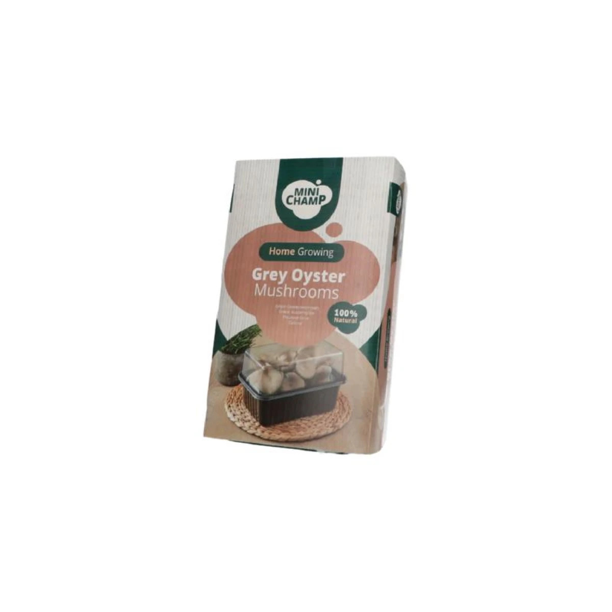 Mini Champ - súprava pre domáce pestovanie hlivy sivej - Pleurotus ostreatus - 1 ks
